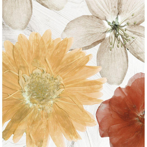 Cottage Refrain II Gold Ornate Wood Framed Art Print with Double Matting by Sommers, Mindy