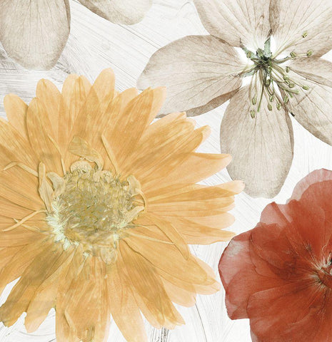 Cottage Refrain II White Modern Wood Framed Art Print with Double Matting by Sommers, Mindy