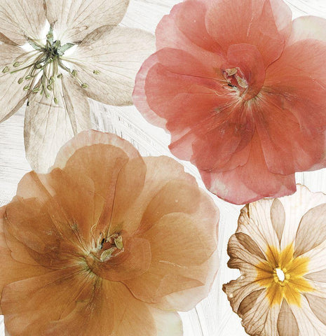 Cottage Refrain I White Modern Wood Framed Art Print with Double Matting by Sommers, Mindy