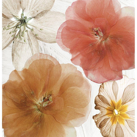 Cottage Refrain I Black Modern Wood Framed Art Print with Double Matting by Sommers, Mindy