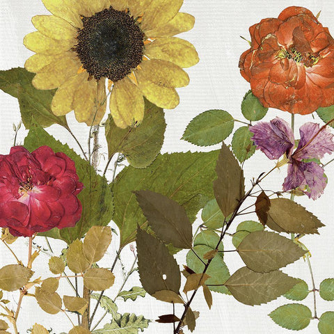 Fleuriste I White Modern Wood Framed Art Print with Double Matting by Sommers, Mindy