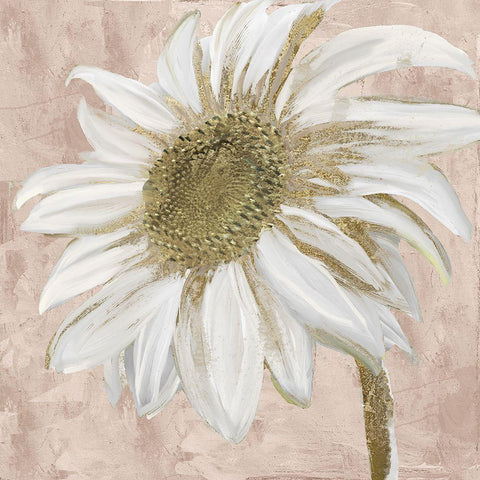 Paris Pink II White Modern Wood Framed Art Print with Double Matting by Sommers, Mindy