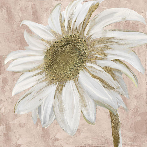 Paris Pink II Black Modern Wood Framed Art Print by Sommers, Mindy