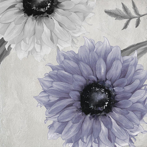 Alabaster Rain II White Modern Wood Framed Art Print with Double Matting by Sommers, Mindy