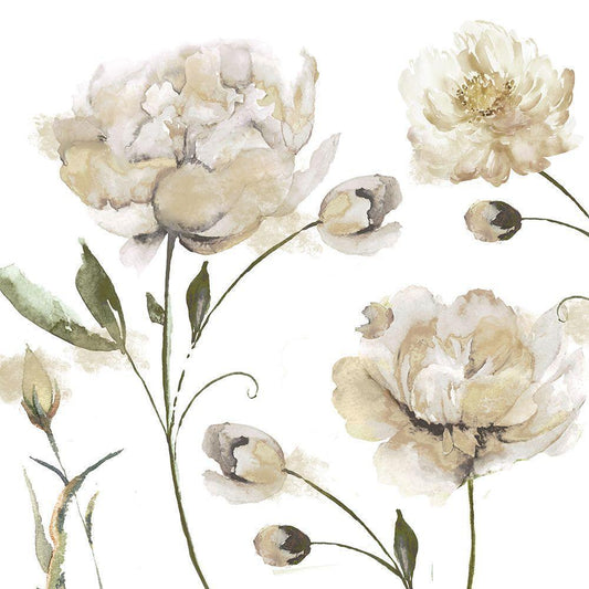 Image Only