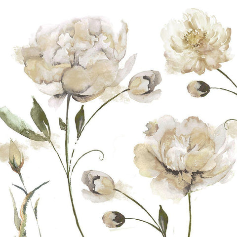 Brittany I Black Modern Wood Framed Art Print with Double Matting by Sommers, Mindy