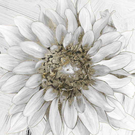 Image Only