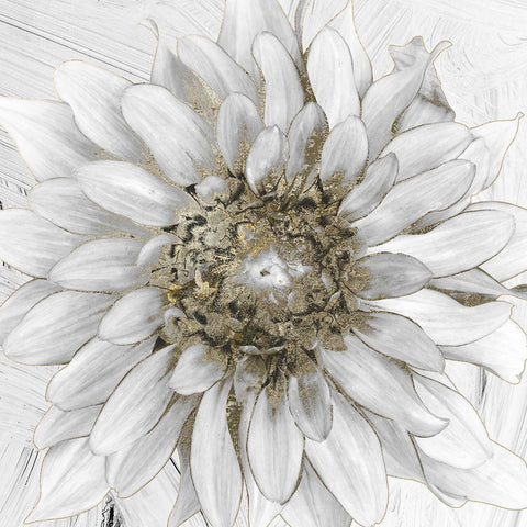 Gilded I White Modern Wood Framed Art Print by Sommers, Mindy