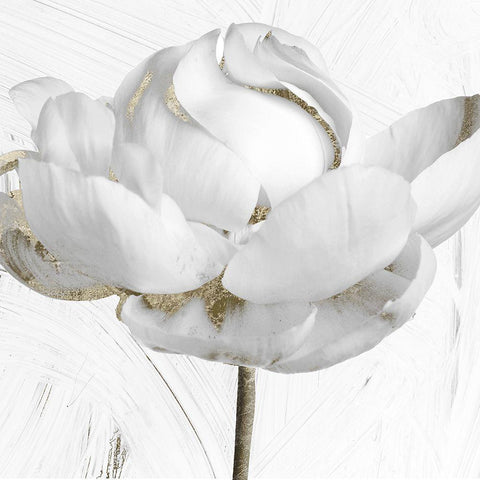 Gilded II Black Modern Wood Framed Art Print with Double Matting by Sommers, Mindy