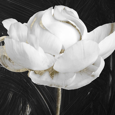 Gilded III Black Modern Wood Framed Art Print by Sommers, Mindy