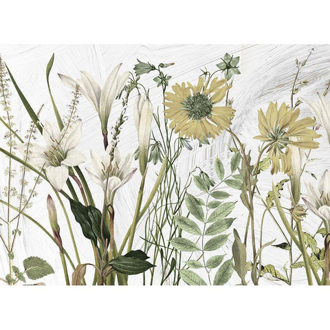 All Dressed Up I White Modern Wood Framed Art Print by Sommers, Mindy