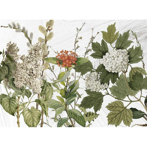 All Dressed Up II Gold Ornate Wood Framed Art Print with Double Matting by Sommers, Mindy