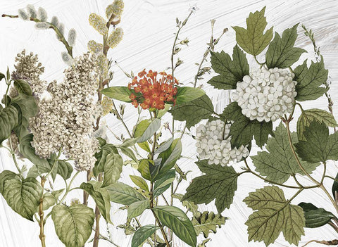 All Dressed Up II White Modern Wood Framed Art Print with Double Matting by Sommers, Mindy