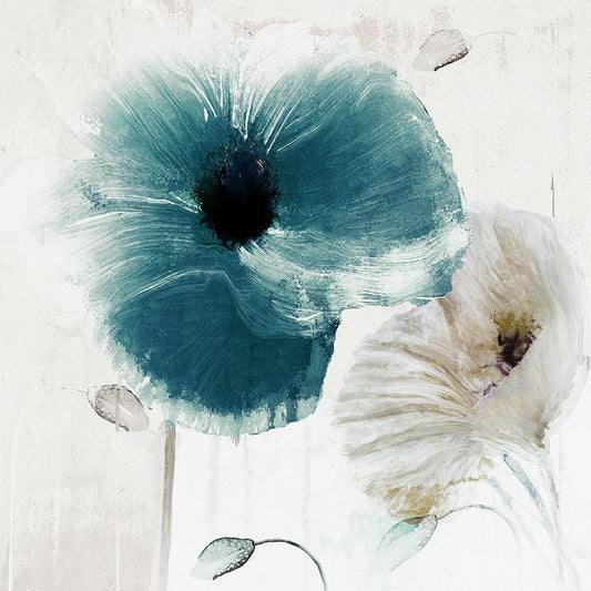 Image Only