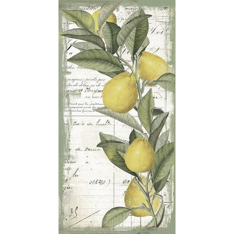 Citron II Black Modern Wood Framed Art Print with Double Matting by Sommers, Mindy