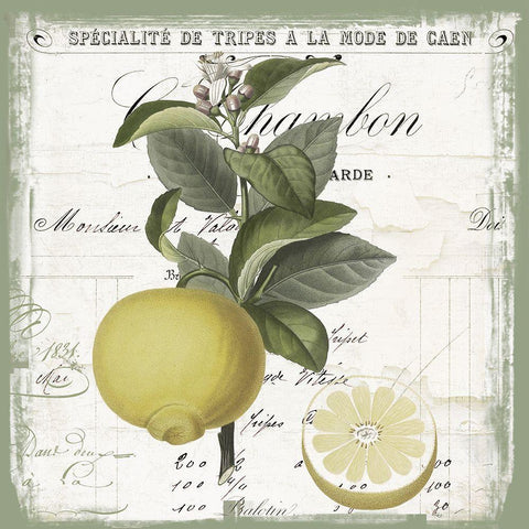 Citron IV Black Ornate Wood Framed Art Print with Double Matting by Sommers, Mindy