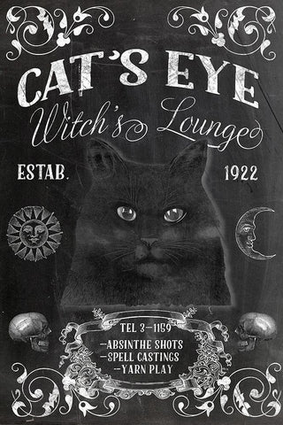 Cats Eye Lounge White Modern Wood Framed Art Print with Double Matting by Sommers, Mindy