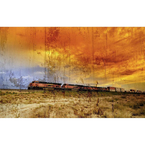 American Sunset Gold Ornate Wood Framed Art Print with Double Matting by Sommers, Mindy