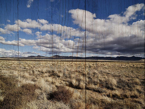 America the Beautiful Black Ornate Wood Framed Art Print with Double Matting by Sommers, Mindy