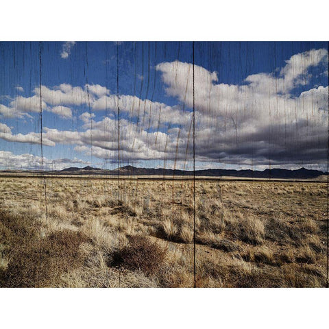 America the Beautiful White Modern Wood Framed Art Print by Sommers, Mindy