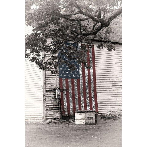 Barn Flag II Black Modern Wood Framed Art Print with Double Matting by Sommers, Mindy