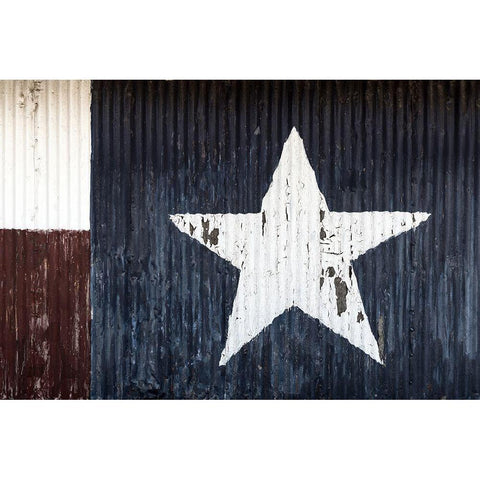 Lone Star Black Modern Wood Framed Art Print with Double Matting by Sommers, Mindy