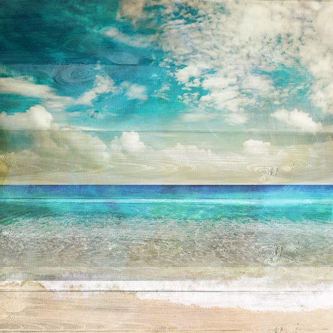 Beach II Gold Ornate Wood Framed Art Print with Double Matting by Sommers, Mindy