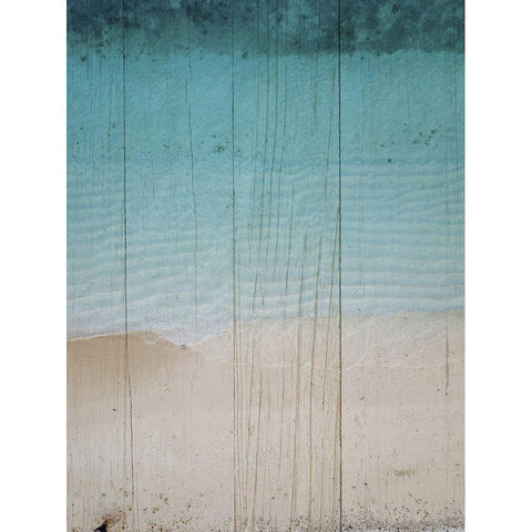 Rustic Beach II Black Modern Wood Framed Art Print with Double Matting by Sommers, Mindy