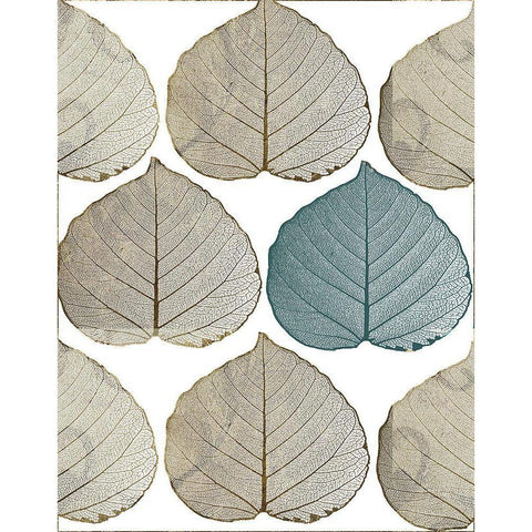 Nature Walk Black Modern Wood Framed Art Print with Double Matting by Sommers, Mindy