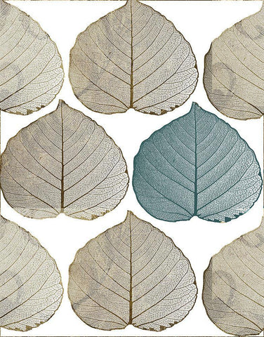 Nature Walk Black Ornate Wood Framed Art Print with Double Matting by Sommers, Mindy