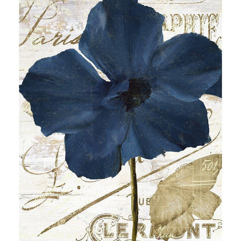 Navy Poppy White Modern Wood Framed Art Print by Sommers, Mindy