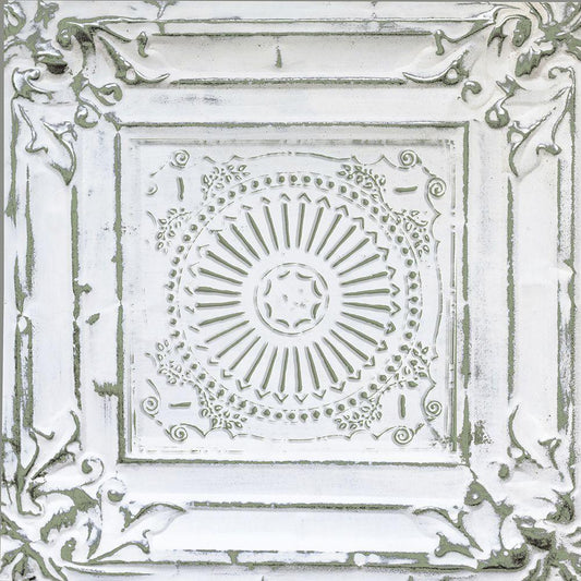 Image Only
