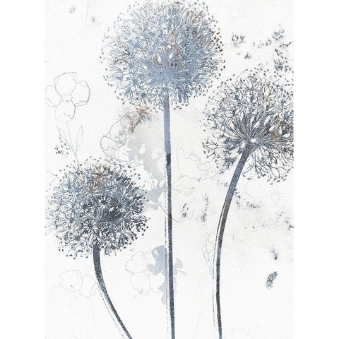 Wedgewood Allium White Modern Wood Framed Art Print by Sommers, Mindy