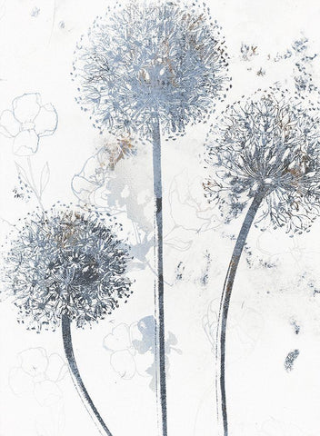 Wedgewood Allium White Modern Wood Framed Art Print with Double Matting by Sommers, Mindy