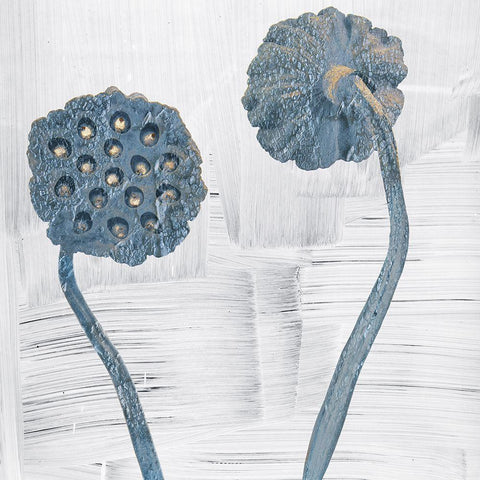 Seed Pods White Modern Wood Framed Art Print by Sommers, Mindy