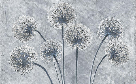Blue Onion Flowers White Modern Wood Framed Art Print with Double Matting by Sommers, Mindy