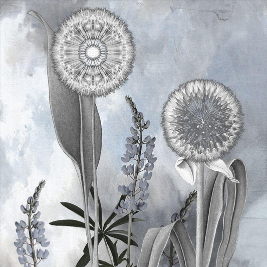 Image Only
