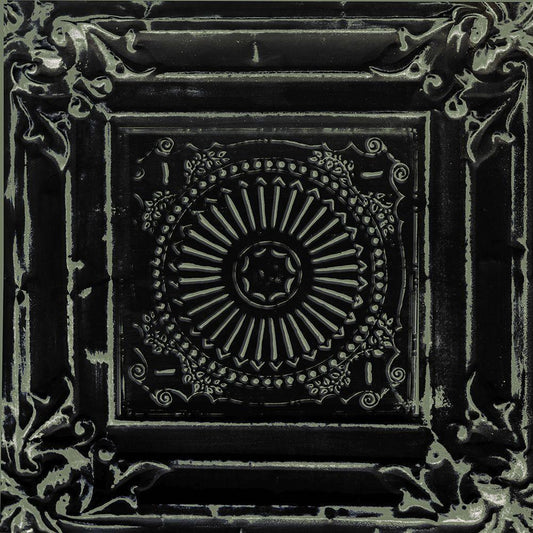 Image Only