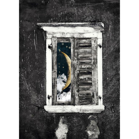 Moon Window Gold Ornate Wood Framed Art Print with Double Matting by Sommers, Mindy