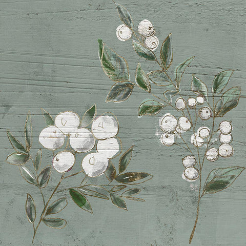 Berrywood White Modern Wood Framed Art Print with Double Matting by Sommers, Mindy