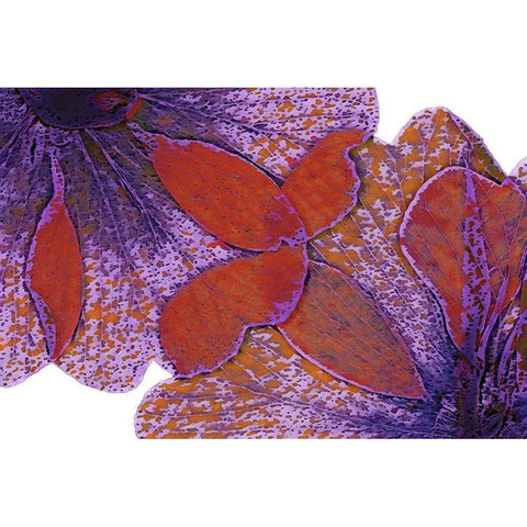 Painted Leaves Black Modern Wood Framed Art Print with Double Matting by Sommers, Mindy