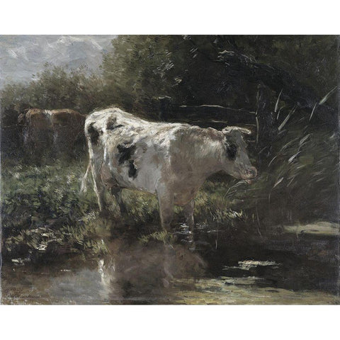 Cow Reflection White Modern Wood Framed Art Print by Sommers, Mindy