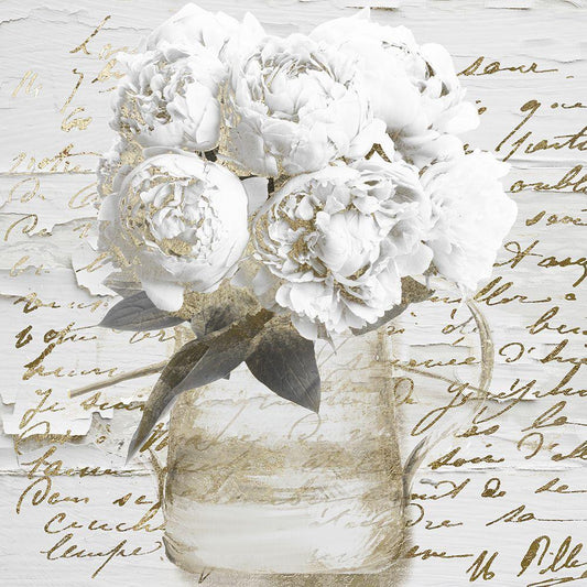 Image Only