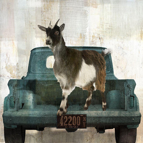 Goat Vacation White Modern Wood Framed Art Print by Sommers, Mindy