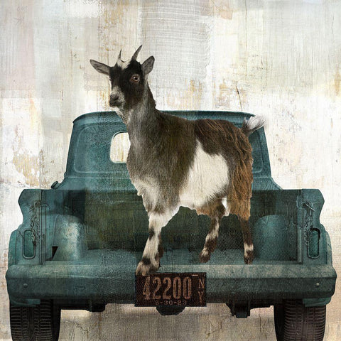 Goat Vacation Black Ornate Wood Framed Art Print with Double Matting by Sommers, Mindy