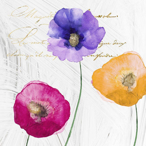 Le Jardin II White Modern Wood Framed Art Print with Double Matting by Sommers, Mindy