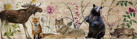 Forest Lineup White Modern Wood Framed Art Print with Double Matting by Sommers, Mindy