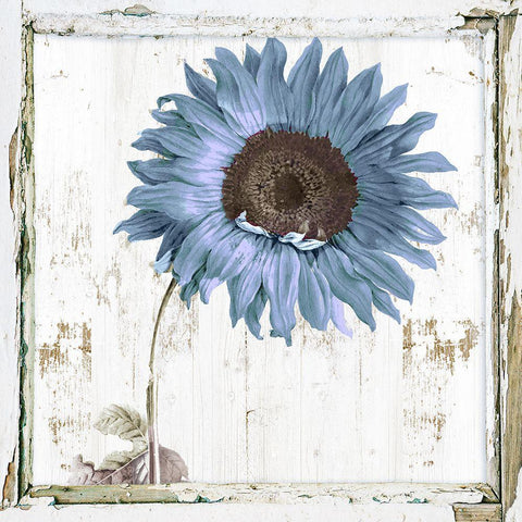 Blue Sunflower Redux II Black Ornate Wood Framed Art Print with Double Matting by Sommers, Mindy