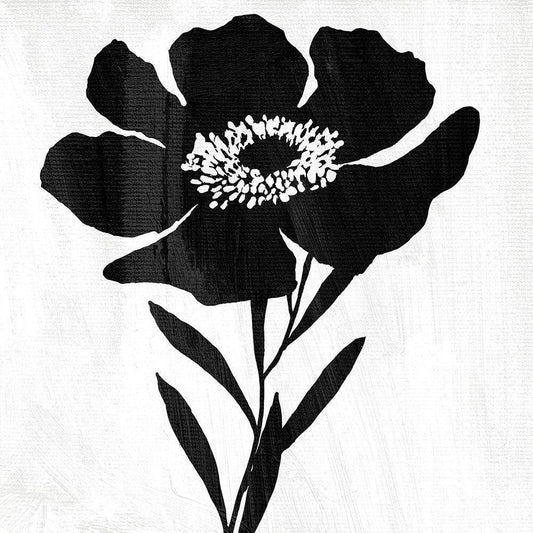 Image Only