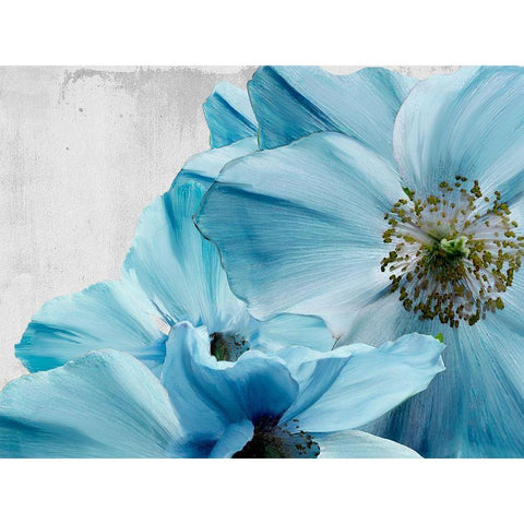 Touch and Contrast II Black Modern Wood Framed Art Print with Double Matting by Sommers, Mindy